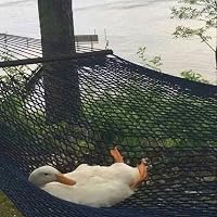 Profile Image for f_outdoorreads.