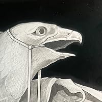 Profile Image for Sterling G.