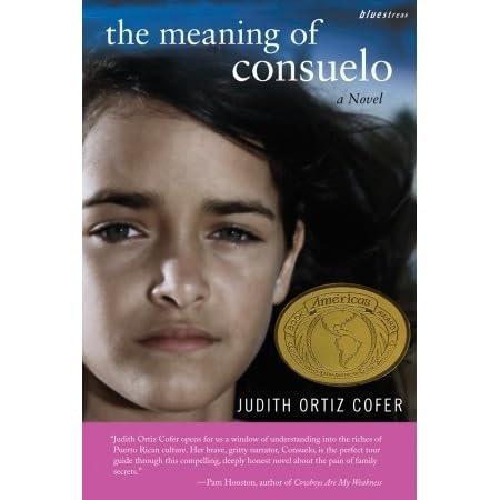 Poems for the meaning of consuelo essay image