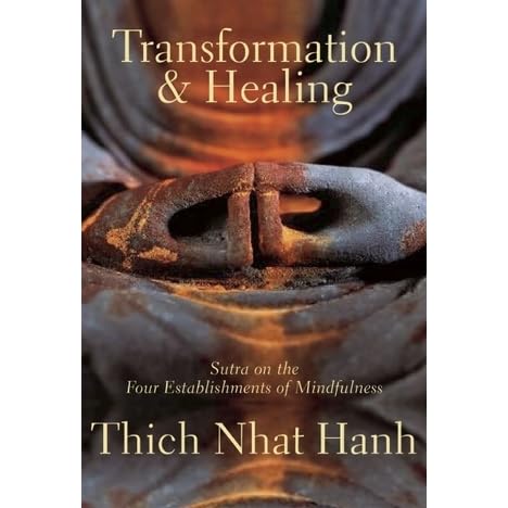 Essay on nhat hanh transformation and healing 05 picture