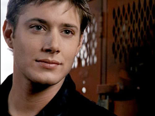 the voice of the turtledove and was a supernatural castiel/den