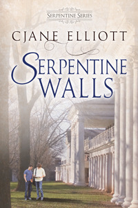 > serpentine walls by cjane elliot
