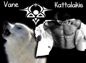  photo fa272713fa41dfcf87970584de8e027e_zps6vinmkow.jpg