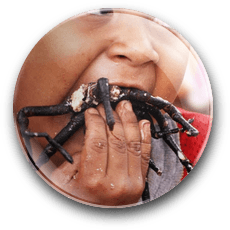 Fried Tarantula